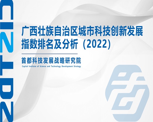 艹艹逼网站进入【成果发布】广西壮族自治区城市科技创新发展指数排名及分析（2022）